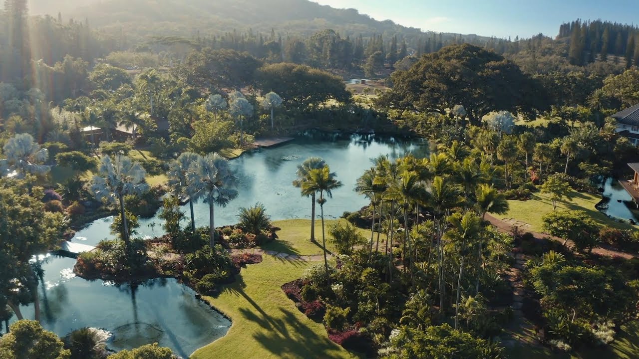 Experience Immersive Wellbeing Packages at Sensei Lana’i, A Four Seasons Resort
