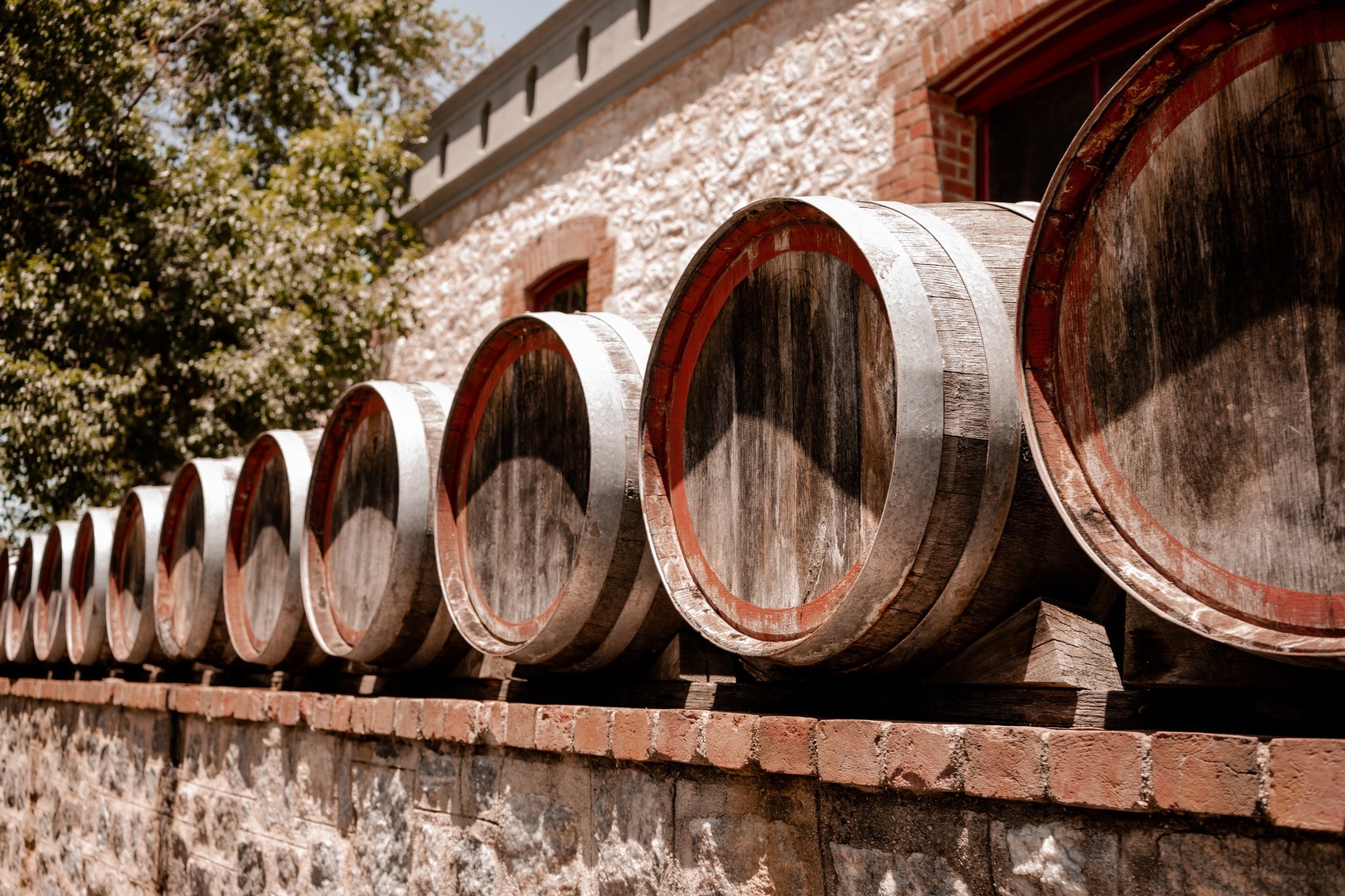 Elevate Your Wine With Oak Barrels