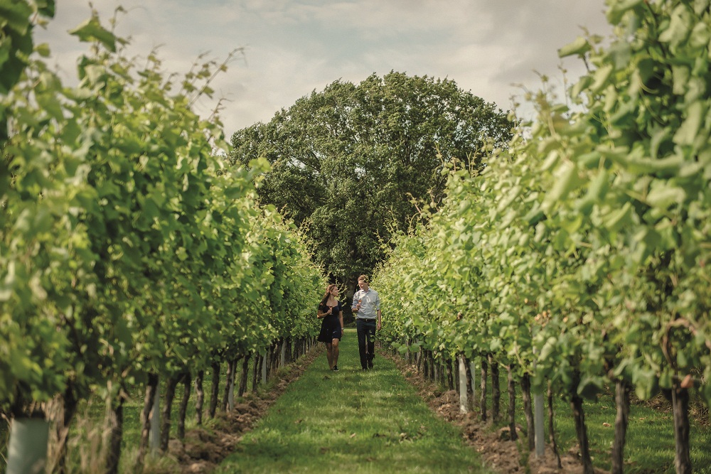 The Summer Of English Sparkling Wines