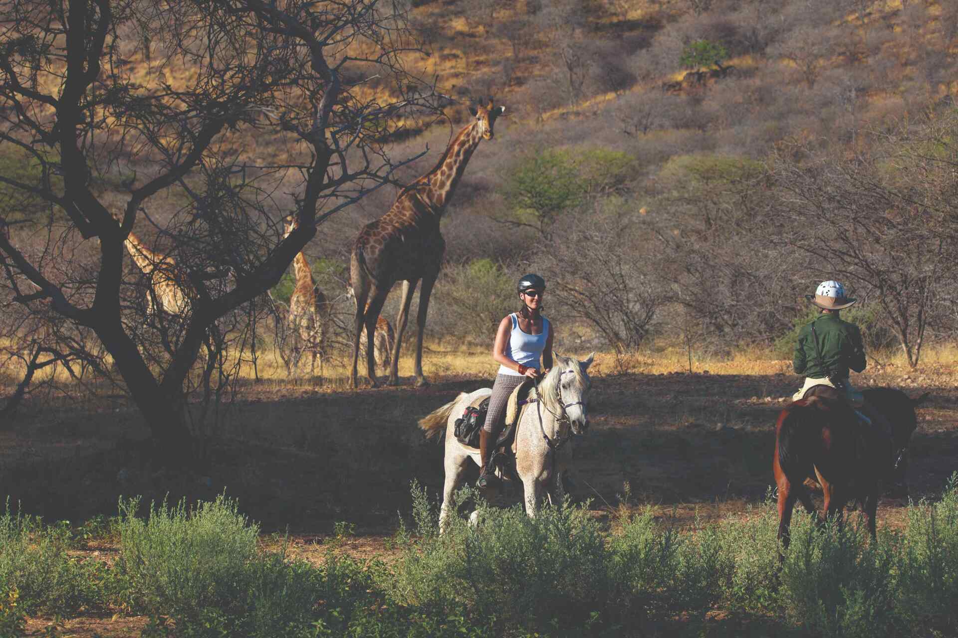 Bucket List Material