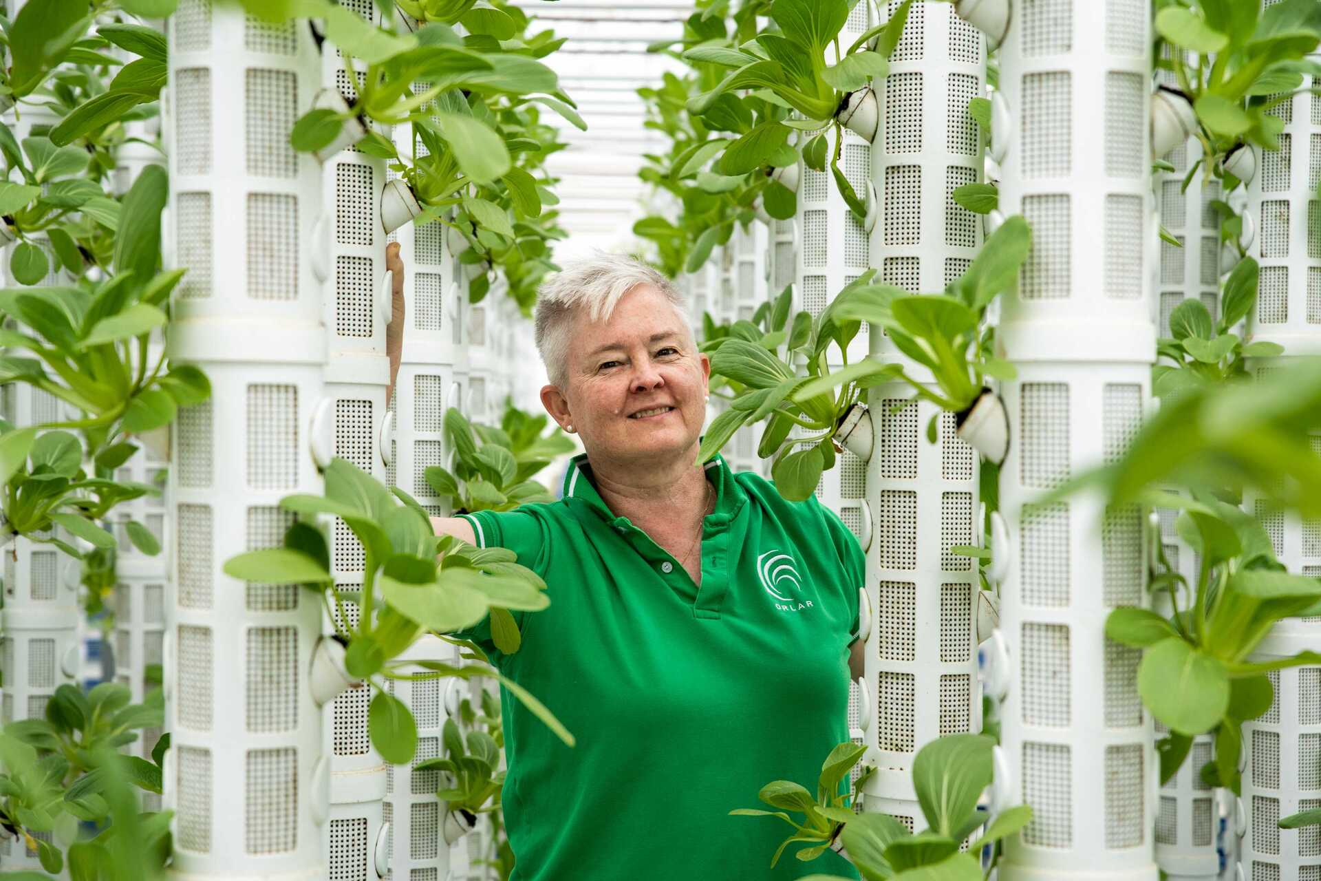 Revolutionizing Produce Cultivation In Vietnam