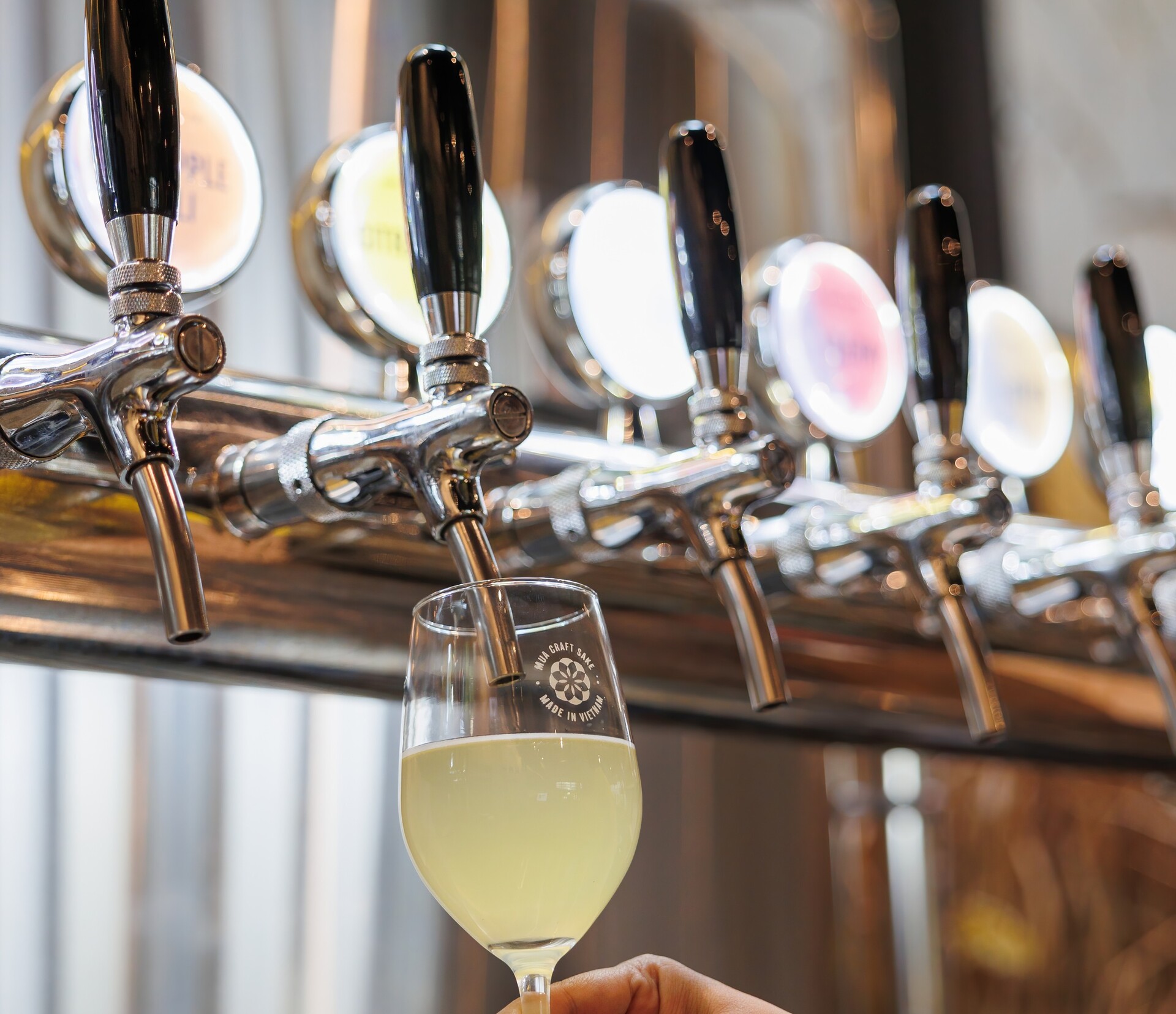 Modernist Craft Sake Taproom