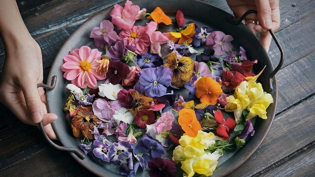 10 Flowers You Should Eat