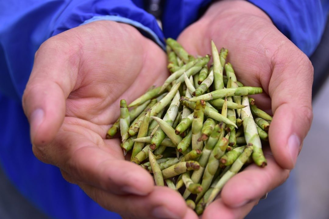 A Glimpse Into Vietnam's Tea Heritage