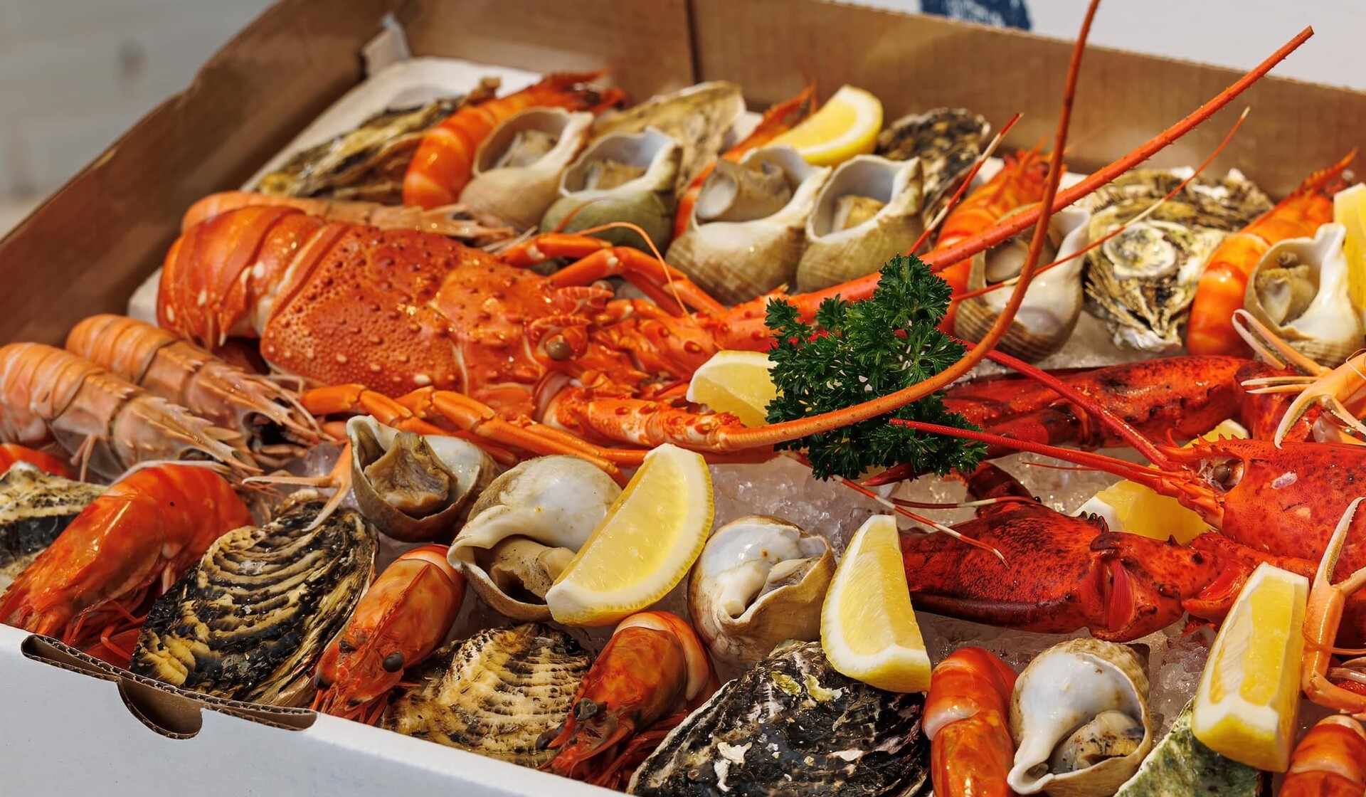 Savour The Finest Seafood