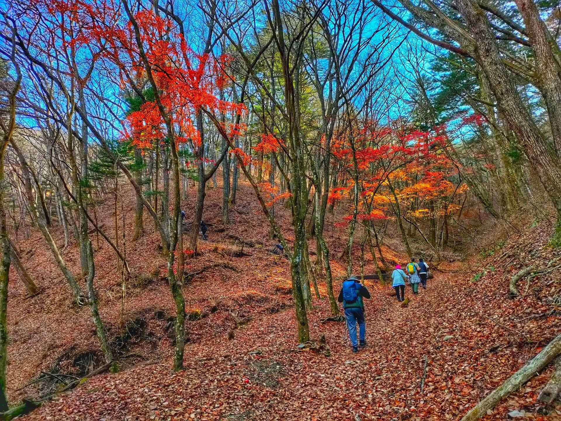 On Foot With Walk Japan