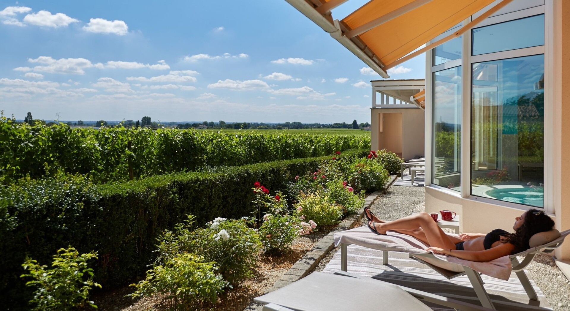 The Power Of Grape Therapy