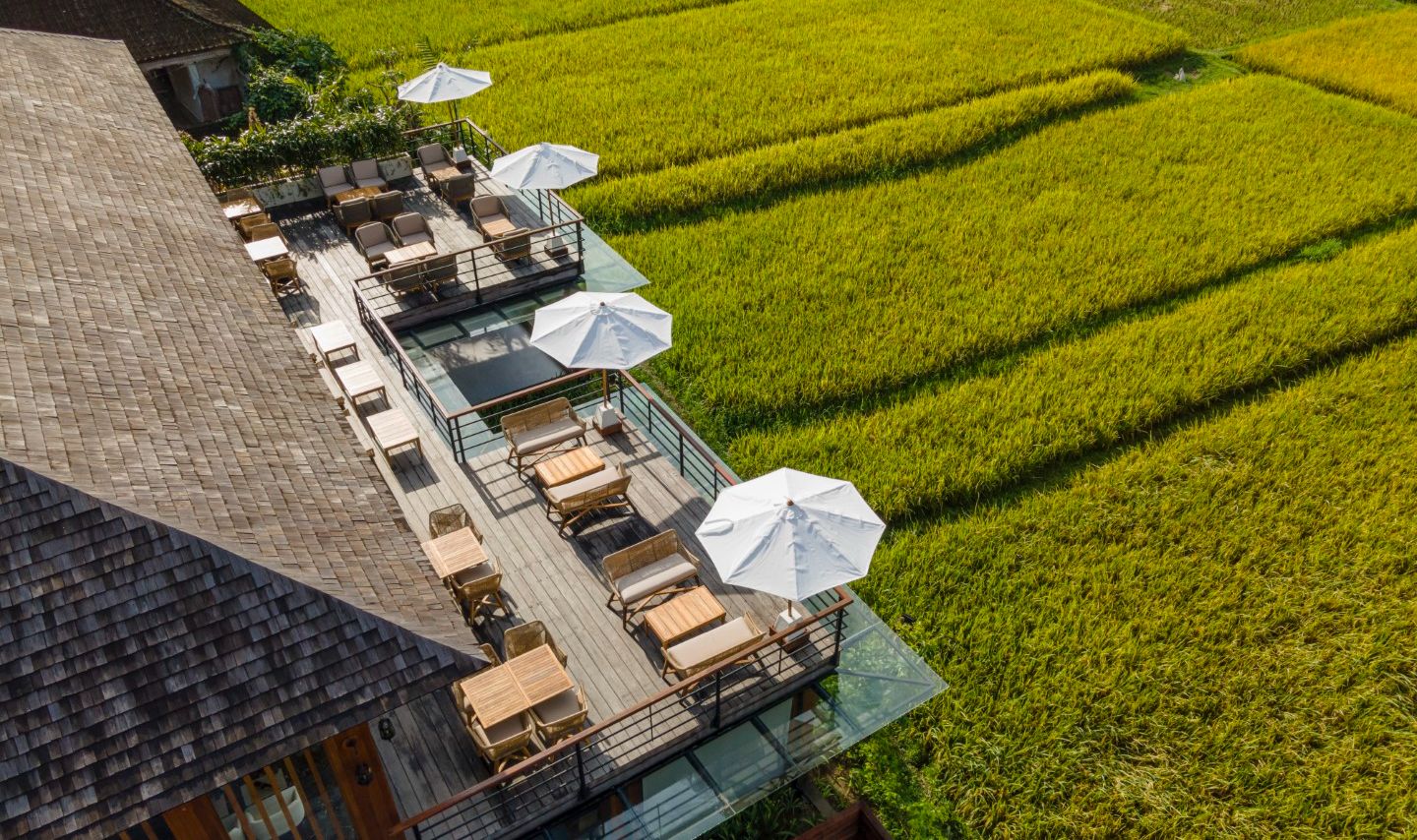 Resilience Meets Creativity: An Inclusive Painting Exhibition At Kappa Senses Ubud