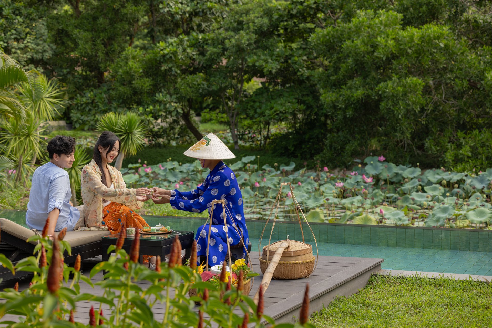 An Ocean of Lotus and Light