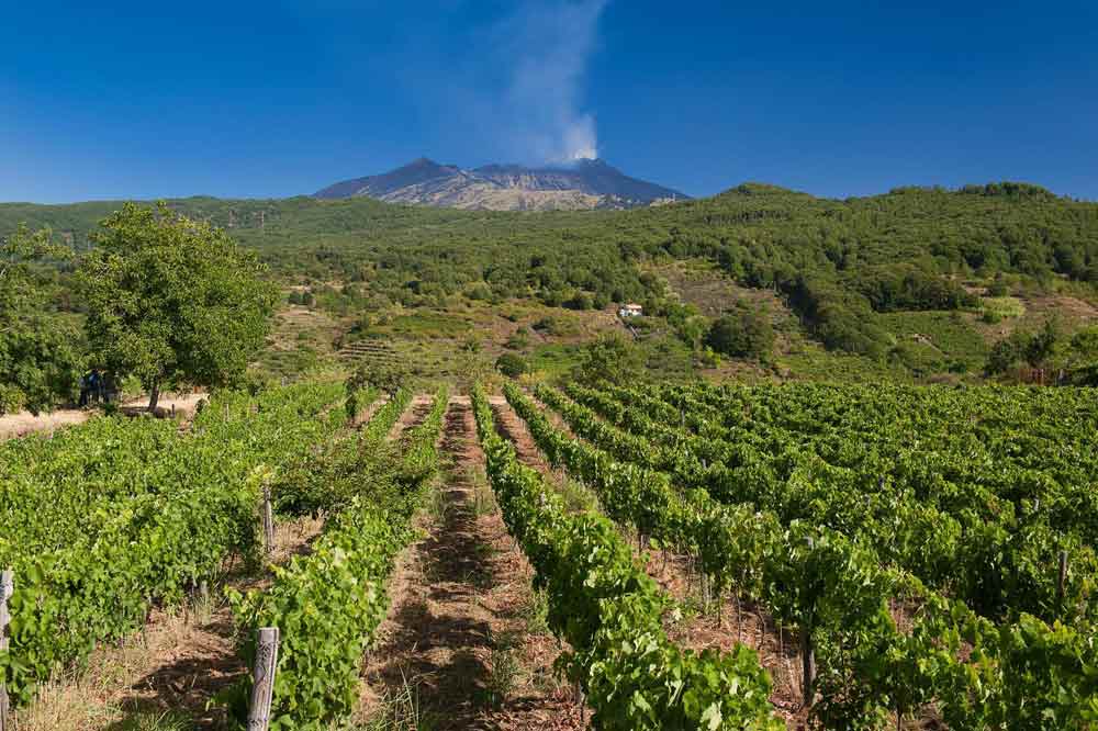 Essence from Volcano and Valley