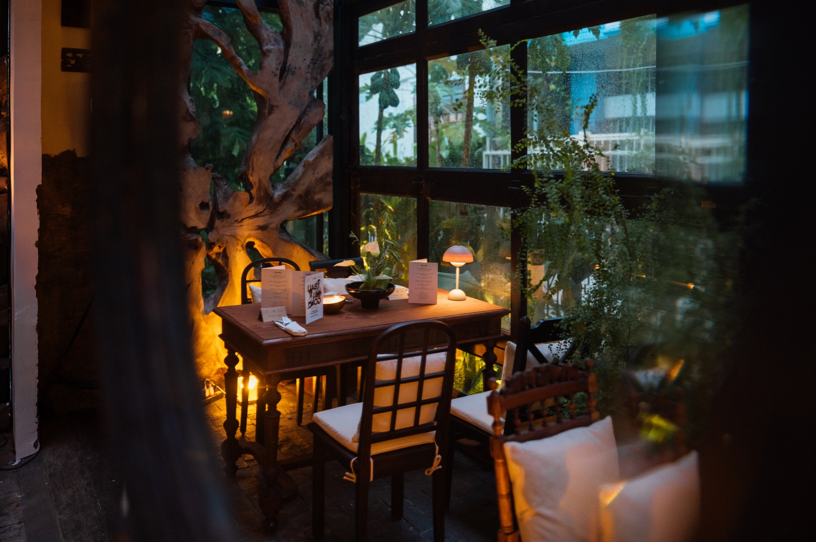 NÚC Concept Kitchen & Bar<br>  Where Quiet Flames Meet the Wild Heart of Nature