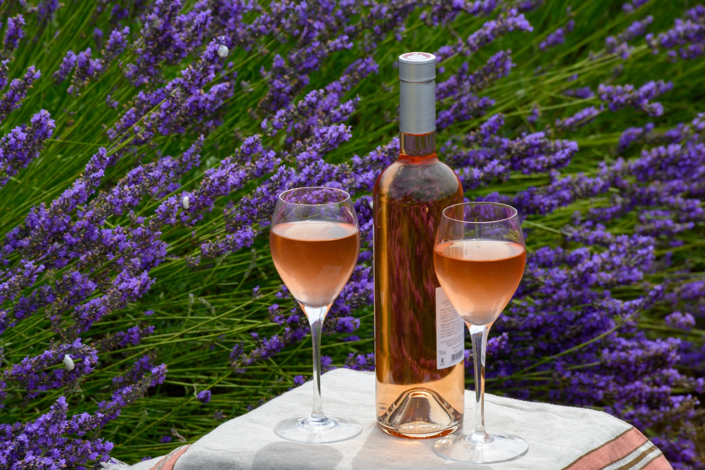 A Season in Pink<br> France’s Rosé Wines and the Art of Living Lightly