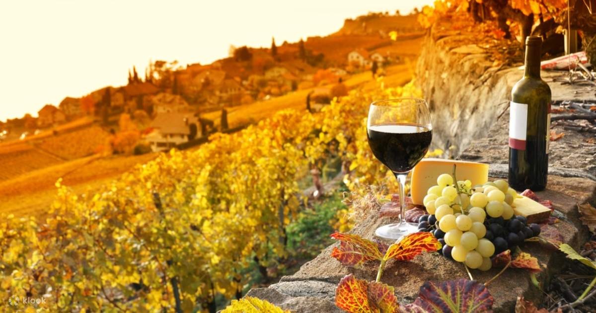 A New Era of Sustainable Wine Tourism