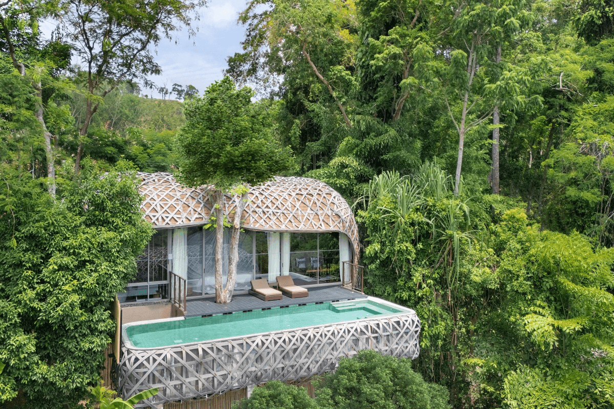 Into the Woods<br>The Rise of Forest Luxury