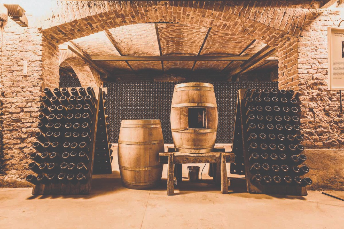 The Art Of Time & Terroir