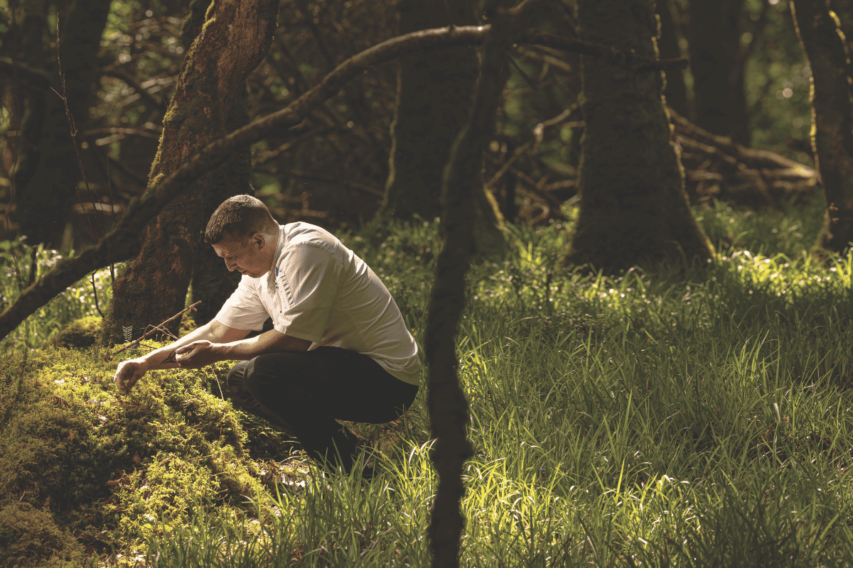 Irish Produce<br>Where The Grass Is Greener