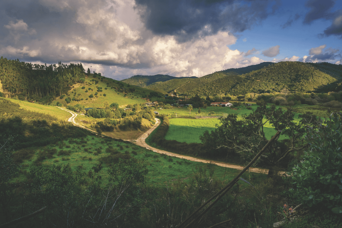 The Quiet Country <br> The Soul of Portuguese Wine