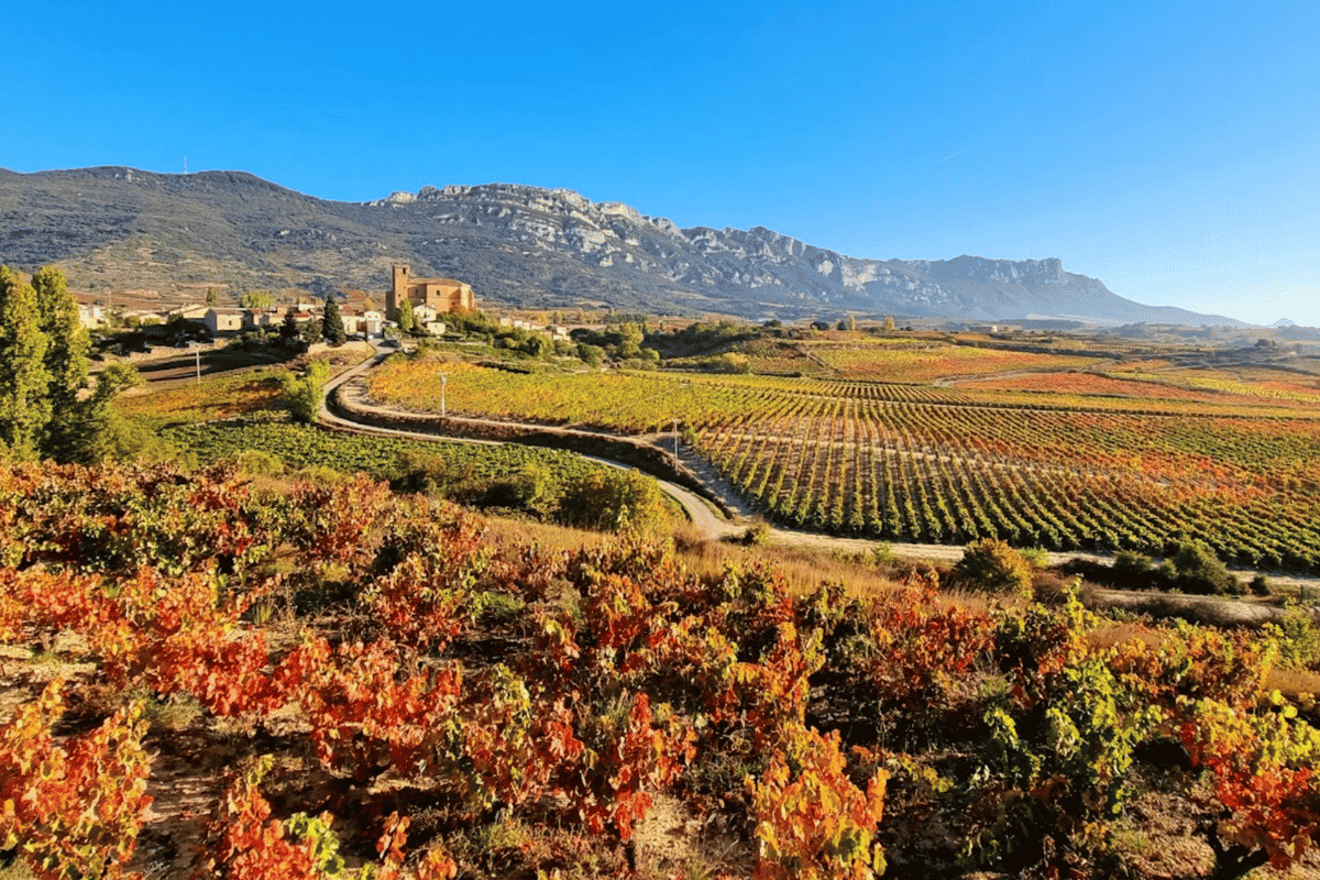 The Seduction Of Spain <br> Where Ancient Terroirs Meet a New Generation of Wine Lovers