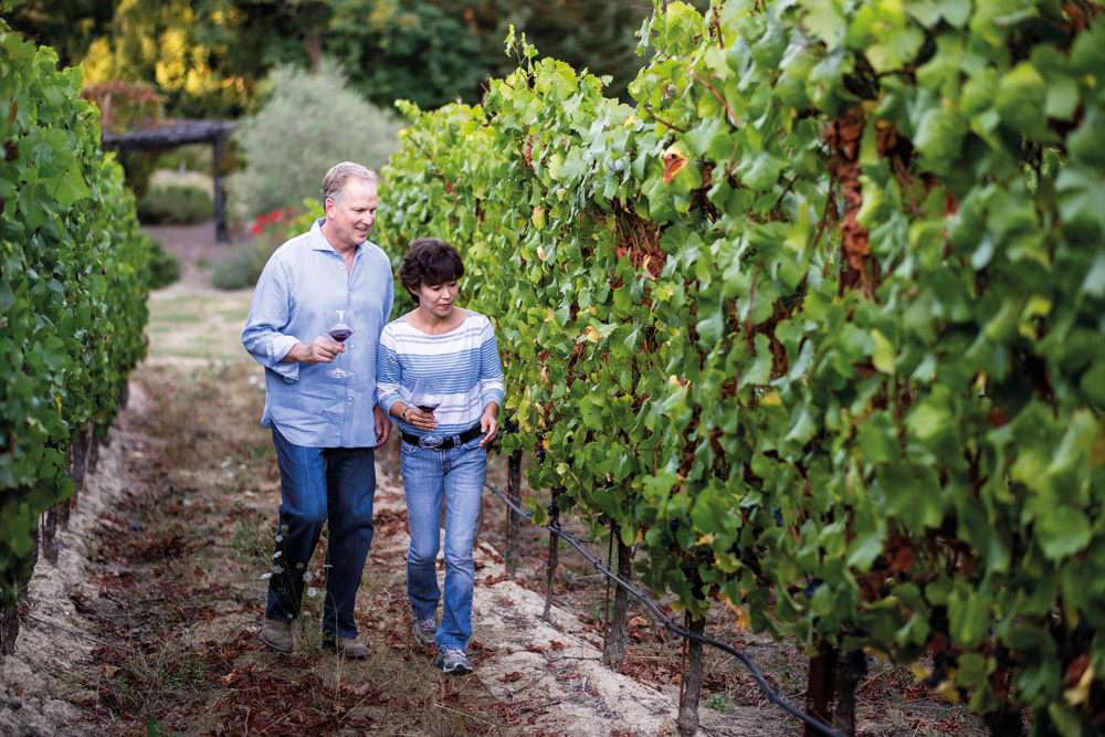 The Accidental Winemaker